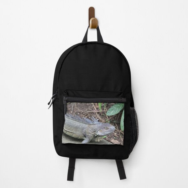 Item preview, Iguana designed and sold by SJ Reddy.