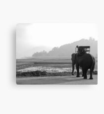 Elephant At Lake Canvas Print