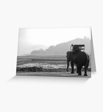 Elephant At Lake Greeting Card