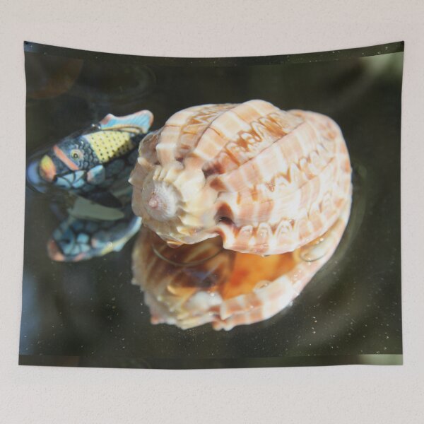 Item preview, Beautiful tun cask shell on a mirror	 designed and sold by EstelleRossetti.