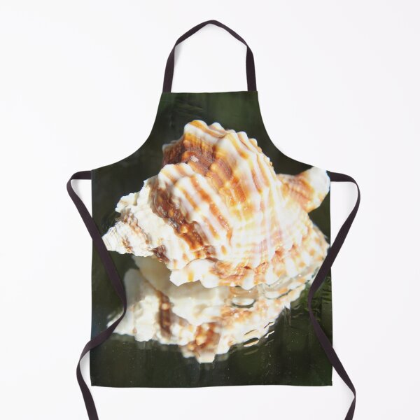 Item preview, Spiral ribbed harp ocean predatory snail shell designed and sold by EstelleRossetti.