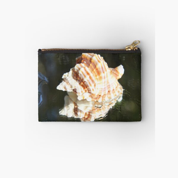 Item preview, Spiral ribbed harp ocean predatory snail shell	 designed and sold by EstelleRossetti.