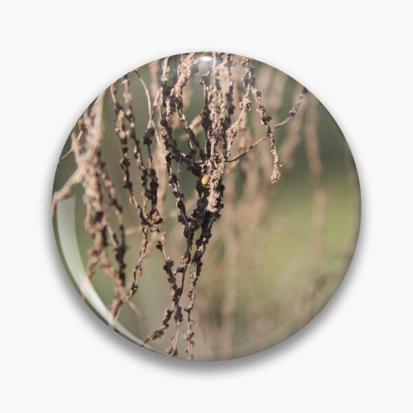 Item preview, Dried herbaceous plant flower bloom seeds springtime	 designed and sold by EstelleRossetti.