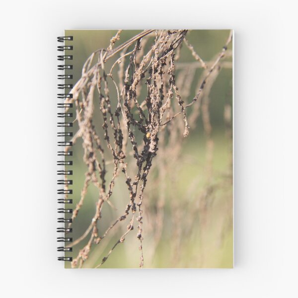 Item preview, Dried herbaceous plant flower bloom seeds springtime	 designed and sold by EstelleRossetti.
