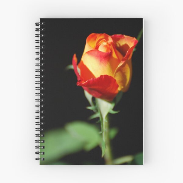 Item preview, Fiery Rose designed and sold by ArcherArtist.