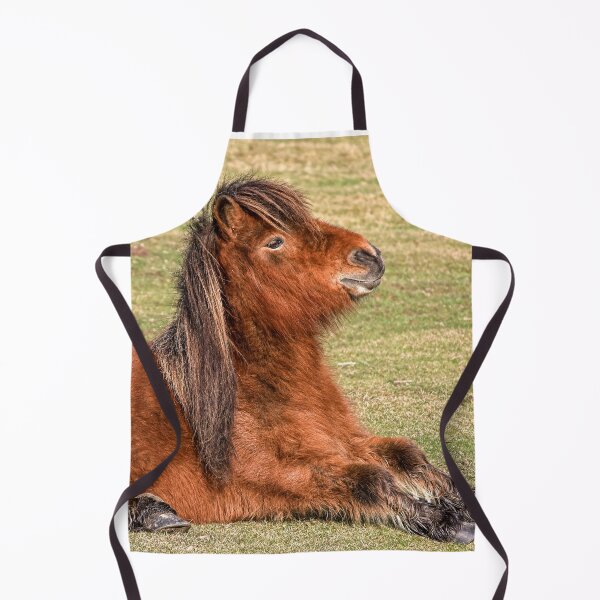 Item preview, Shetland Pony in the New Forest designed and sold by Dalyndigital Photography.