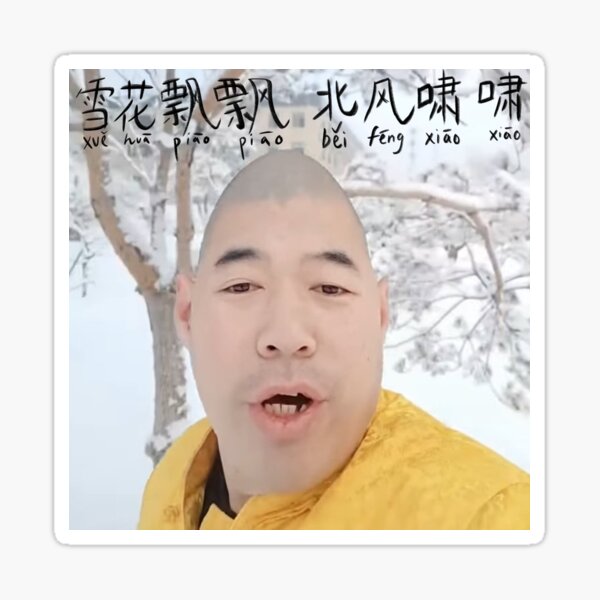 What does the phrase “xue hua piao piao bei feng xiao xiao” mean in  English? The phrase is from the Chinese song Yi Jian Mei - Fei Yu-ching  that's on TikTok. 