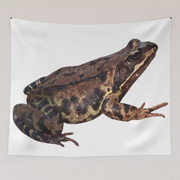 Item preview, frog designed and sold by pikikasa.