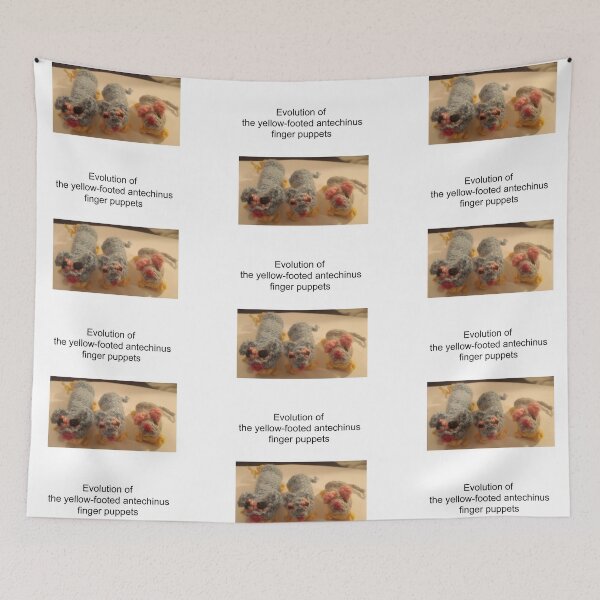 Item preview, Evolution of the yellow-footed antechinus finger puppets designed and sold by HaniaAnia.