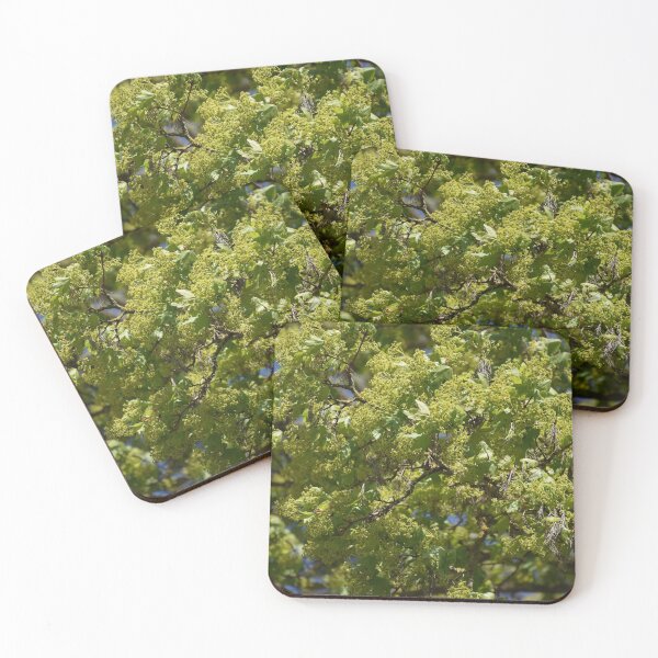 Item preview, Spring green designed and sold by Boscastle.