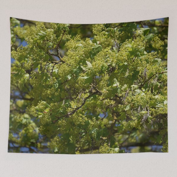 Item preview, Spring green designed and sold by Boscastle.
