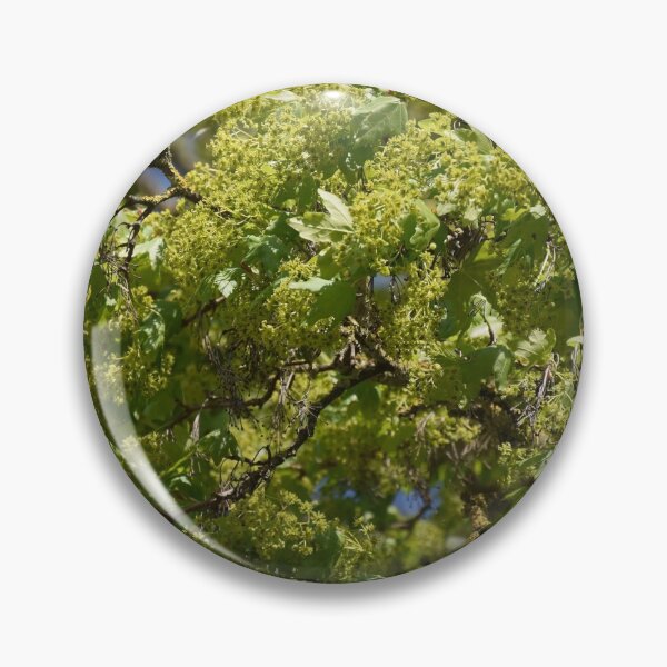 Item preview, Spring green designed and sold by Boscastle.