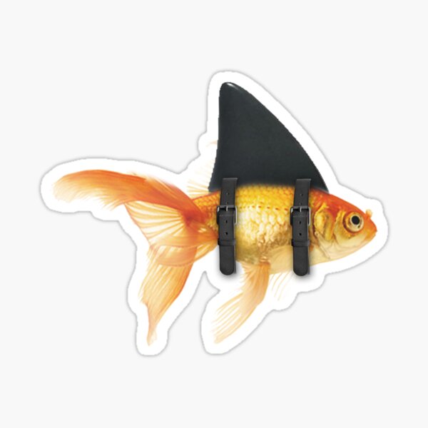 BRILLIANT DISGUISE 02 Sticker