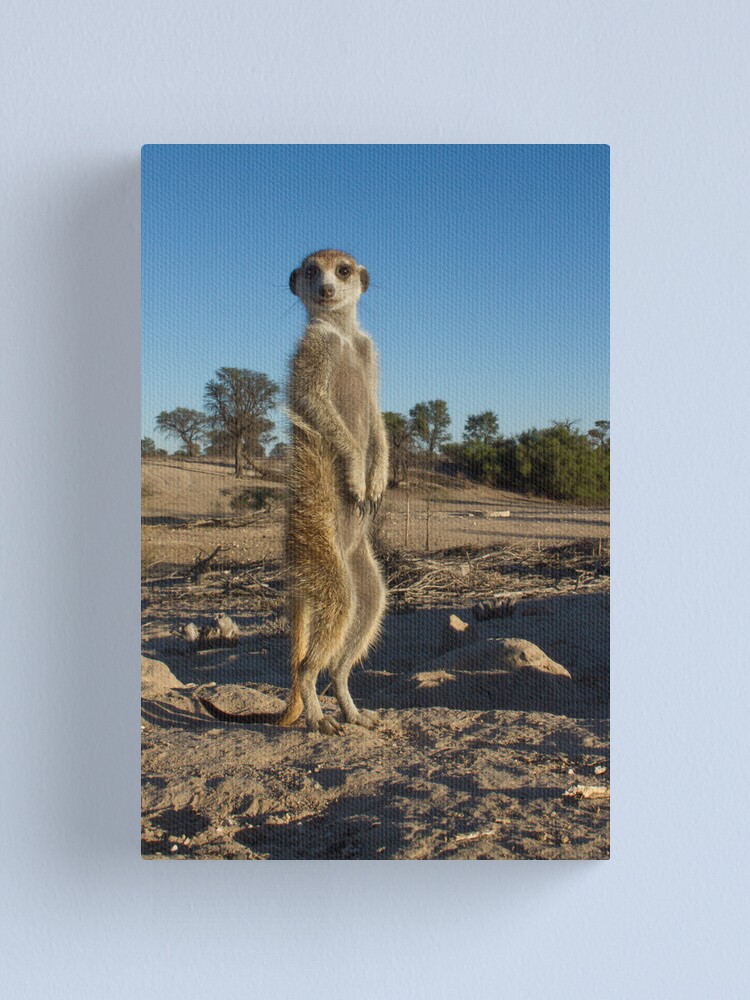 Alternate view of Standing tall Canvas Print