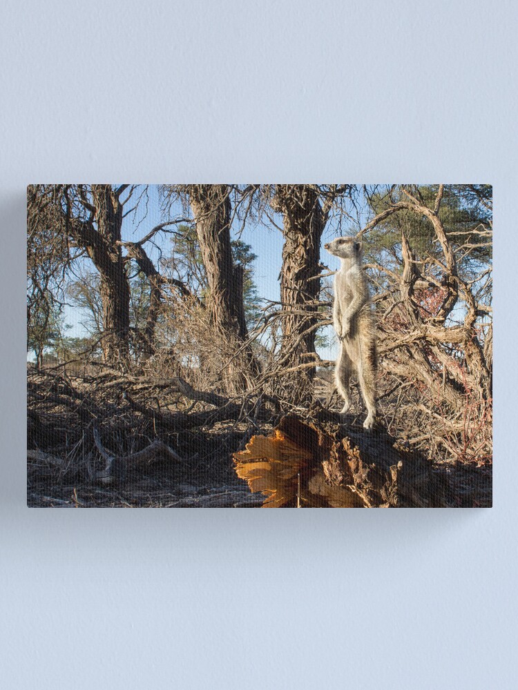 Alternate view of Raised guard Canvas Print