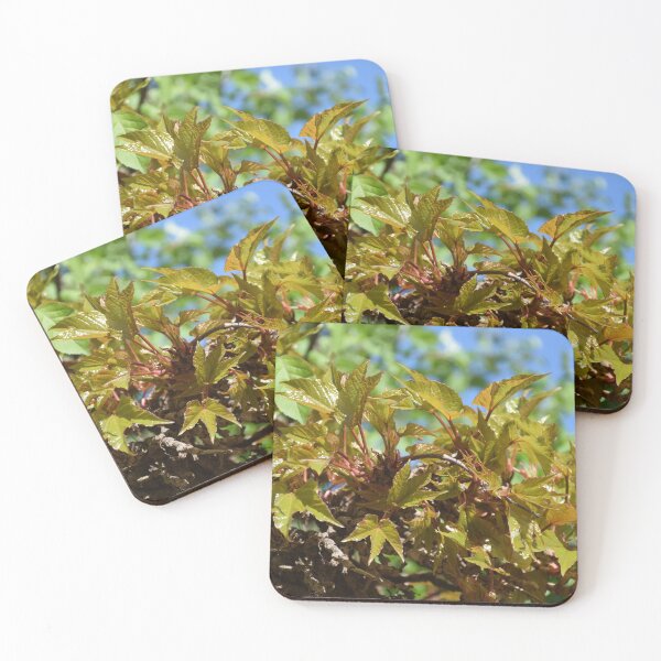 Item preview, Wild wine in fresh green designed and sold by Boscastle.