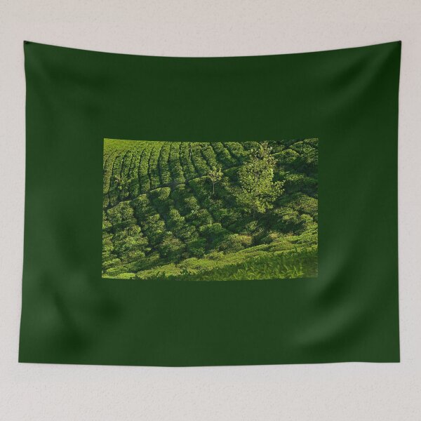 Item preview, SSK 9559 Amidst Tea Plantations. Color designed and sold by Sunil Kapadia.
