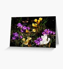 Lightthought 159 Greeting Card