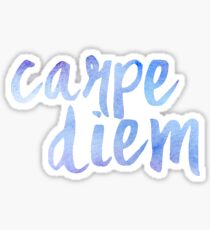 Carpe Diem (watercolor) Sticker