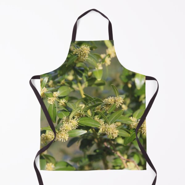 Item preview, Perennial evergreen small ornamental tree yellow blooming	 designed and sold by EstelleRossetti.