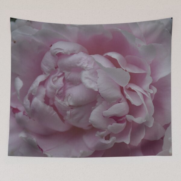 Item preview, Paeonie in rosé designed and sold by Boscastle.