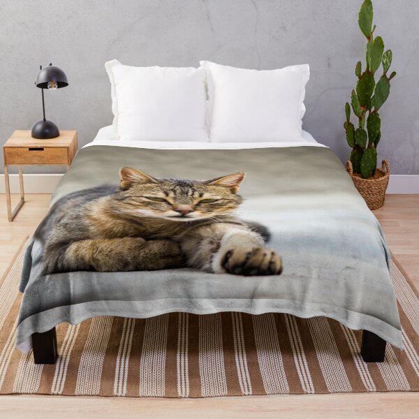 Item preview, Domestic Cat #1 designed and sold by JoshdorArt.