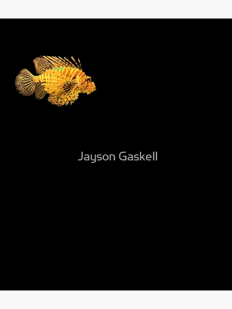Thumbnail 3 of 3, Backpack, Lionfish designed and sold by Jayson Gaskell Photography.