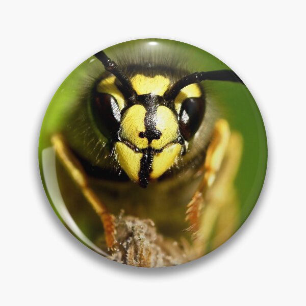 Item preview, Wasp ready for its close up  designed and sold by Helen  Kelly.