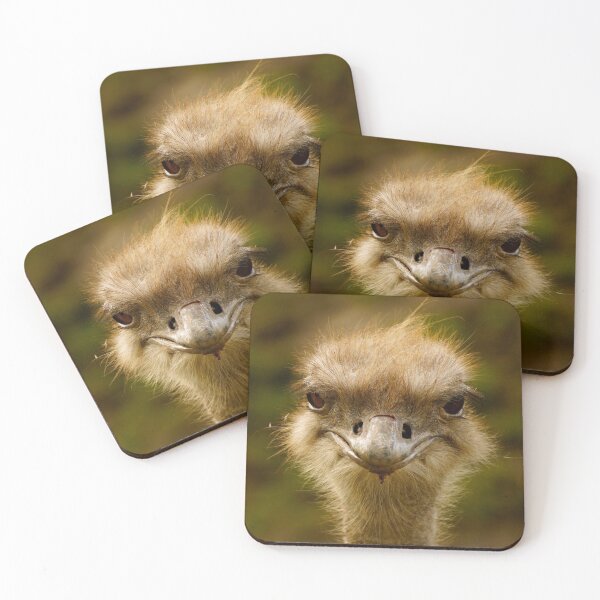 Item preview, Ostrich  designed and sold by Helen  Kelly.