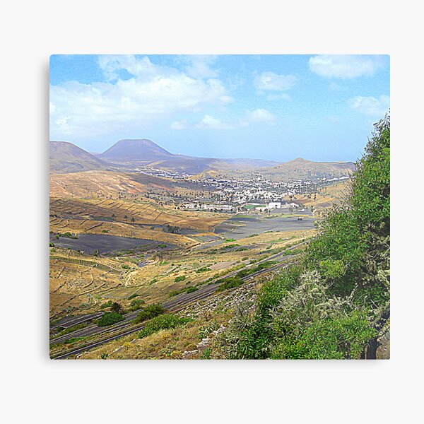 Valley Of A Thousand Palms Metal Print