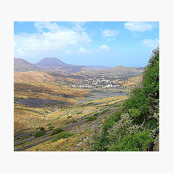 Valley Of A Thousand Palms Photographic Print