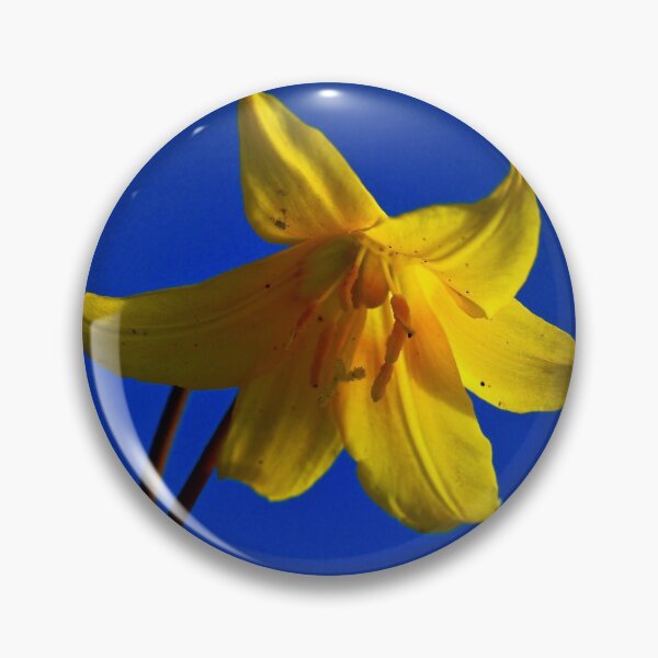 Item preview, Spring colour  designed and sold by Helen  Kelly.