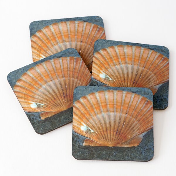 Item preview, seashell designed and sold by Luci3120.