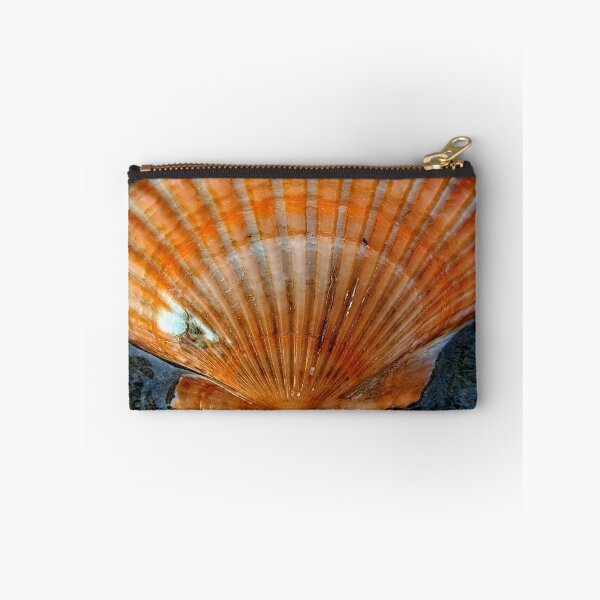 Item preview, seashell designed and sold by Luci3120.