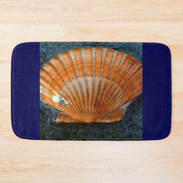 Item preview, seashell designed and sold by Luci3120.