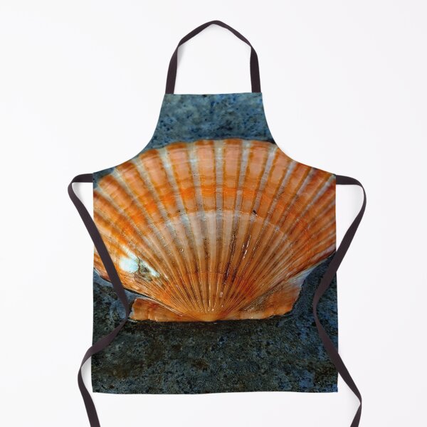 Item preview, seashell designed and sold by Luci3120.