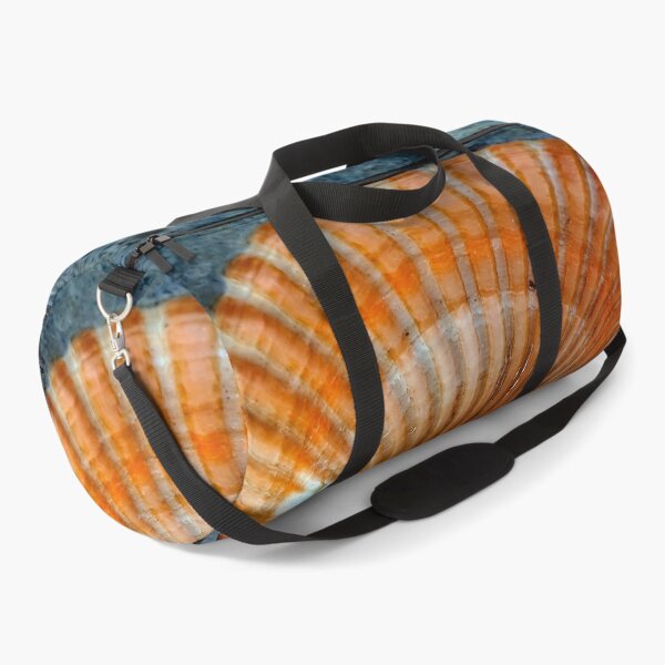 Item preview, seashell designed and sold by Luci3120.
