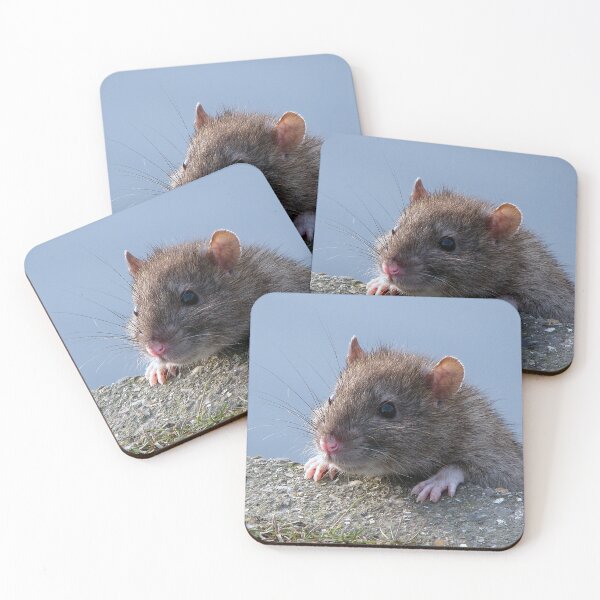 Item preview, Ratty!!!! designed and sold by Sharon Perrett.