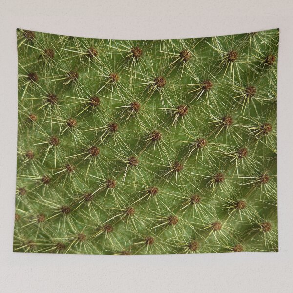 Item preview, Cactus - no touching designed and sold by LookFrog.
