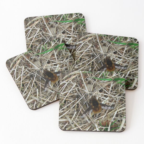 Item preview, Bee - fly designed and sold by Sharon Perrett.