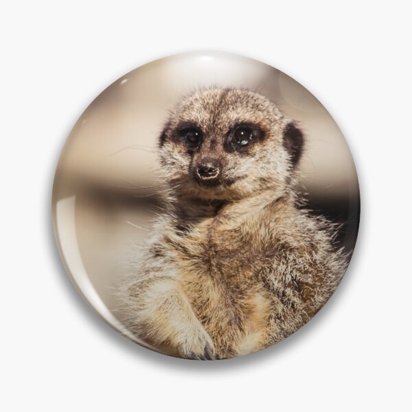 Item preview, Cute Meerkat designed and sold by LauraKCaldPhoto.