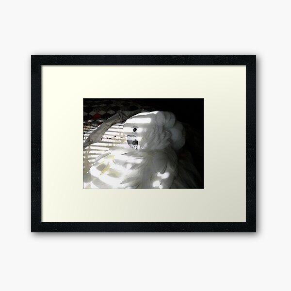 Cockatoo Spa Day Framed Art Print