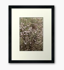 Survival Framed Print