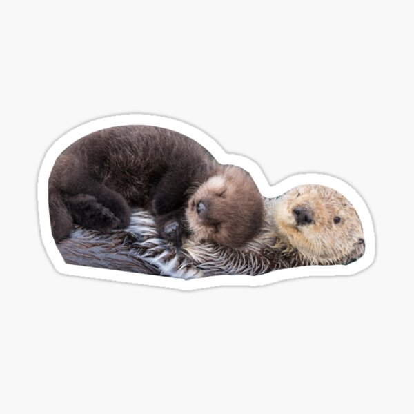 Five Otters – Periwinkle hoodie long sleeve Otter Otters River Otter River  Otters Sea Otter Sea Otters Otters - AliExpress