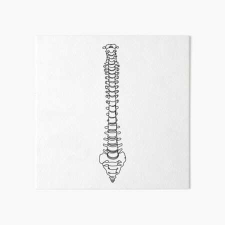 quot spine one line drawing Medical print quot Art Board Print for Sale by