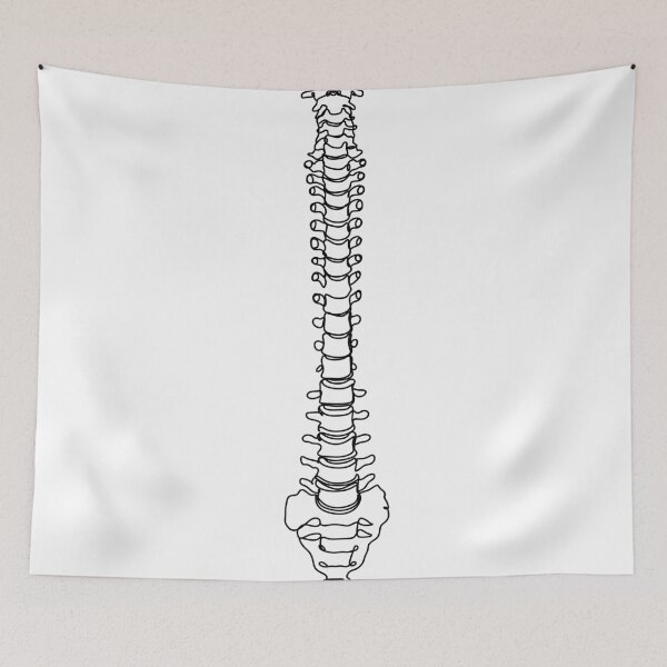 Item preview, spine one line drawing. Medical print designed and sold by OneLinePrint.