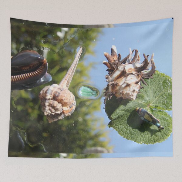 Item preview, Plastic bottle pollution shells and ocean life	 designed and sold by EstelleRossetti.
