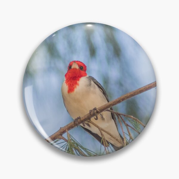 Item preview, Red Crested Cardinal 2 designed and sold by KensLensDesigns.