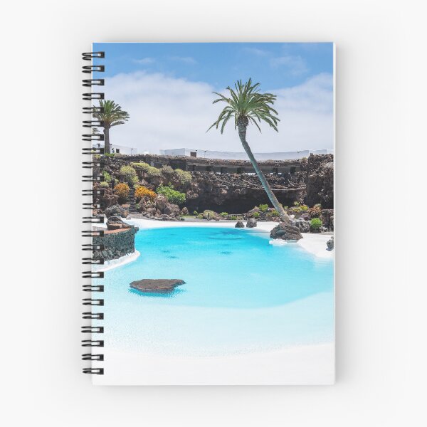 Item preview, Jameos del Agua pool Lanzarote designed and sold by iCimages.net.
