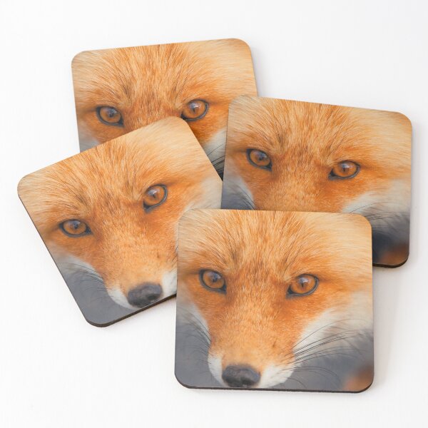 Item preview, Fox designed and sold by Noemileo123.